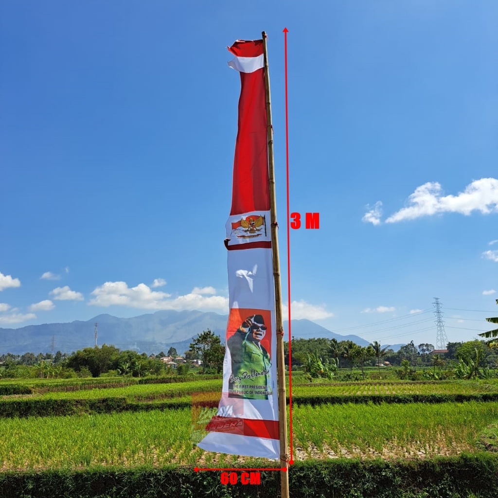 Jual BENDERA UMBUL UMBUL BANDIR SOEKARNO WARNA WARNI Shopee Indonesia