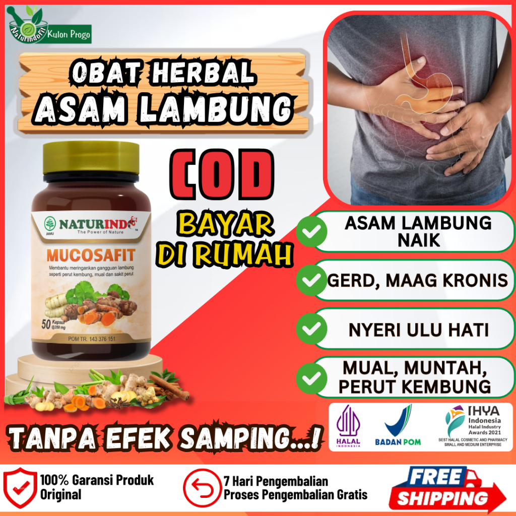 Jual Mucosafit Obat Asam Lambung Magh Kronis Yang Bagus Herbal Paling