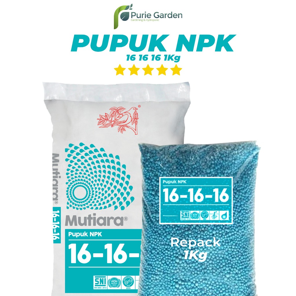 Jual Pupuk NPK Mutiara 16 16 16 Repack 1kg Purie Garden Shopee Indonesia