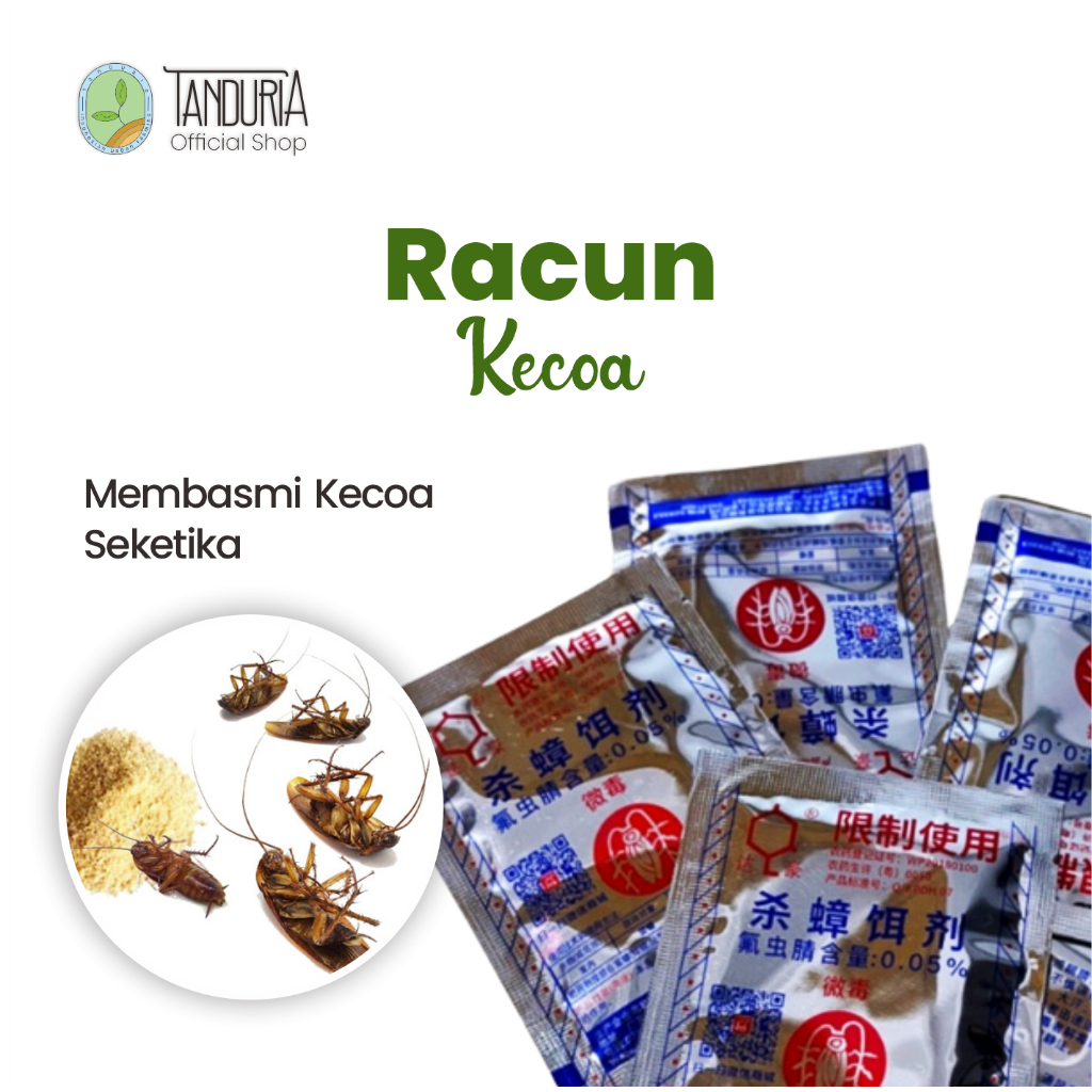 Jual TANDURIA Racun Kecoa Mie Zhang Qing Obat Basmi Anti Kecoa