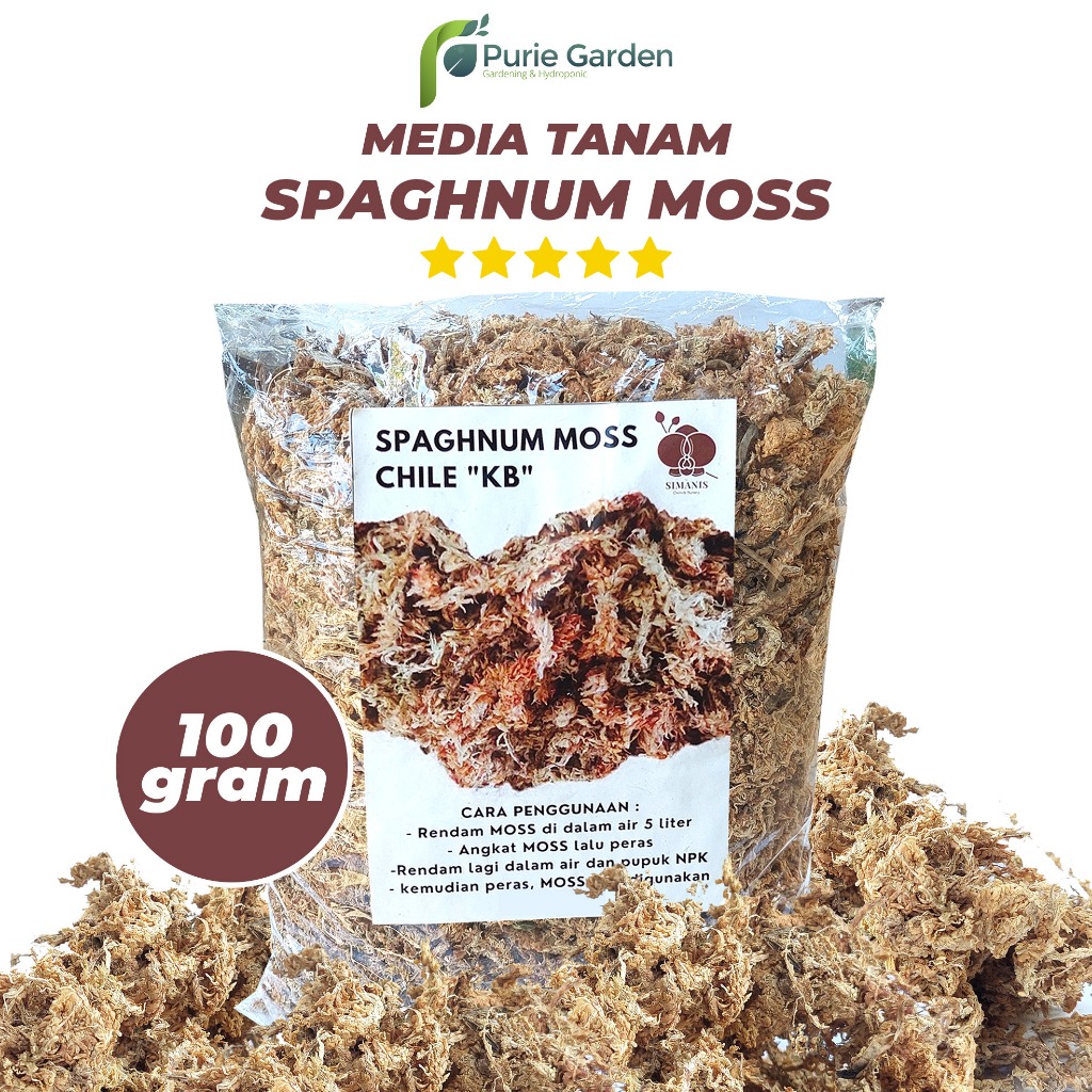 Jual Media Tanam Spaghnum Moss 100gr Untuk Anggrek Monstera Calathea