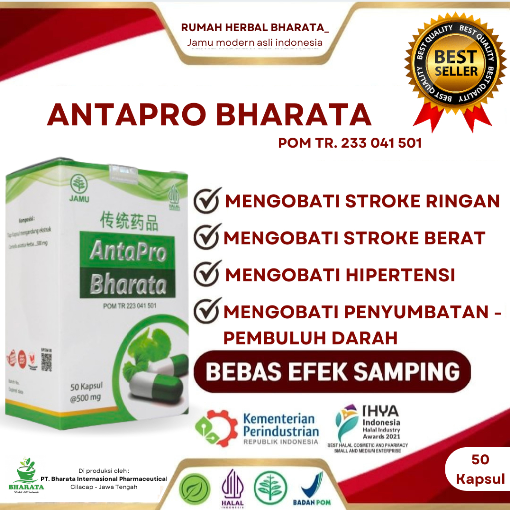 Jual Antapro Bharata Herbal Asli Original Obat Stroke Hipertensi Darah