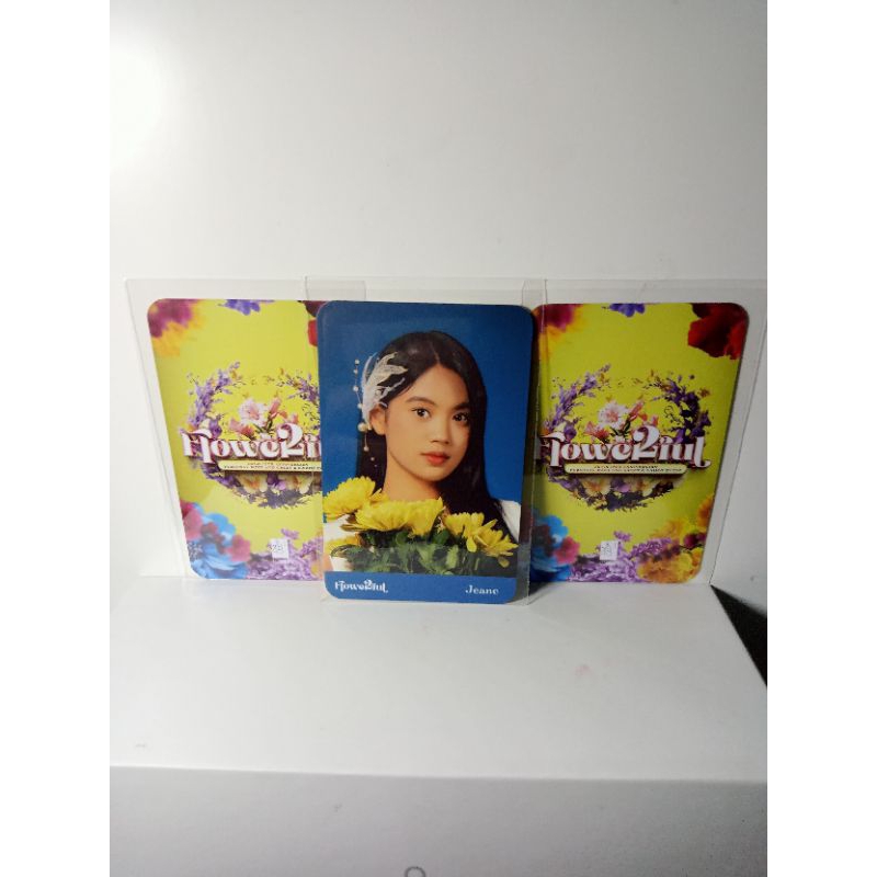 Jual Photocard Jkt Jeane Flowerfull Official Original Shopee