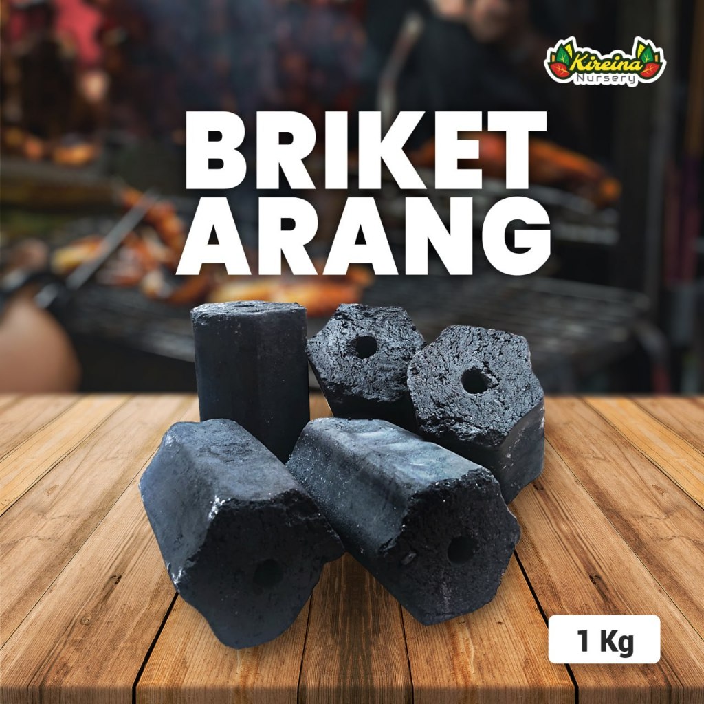 Jual Briket Arang Batok Kelapa 1 Kg Shopee Indonesia