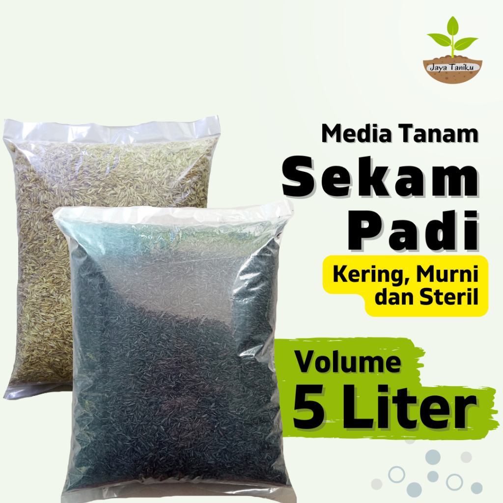 Jual Media Tanam Sekam Padi Arang Sekam Sekam Bakar Sekam Mentah