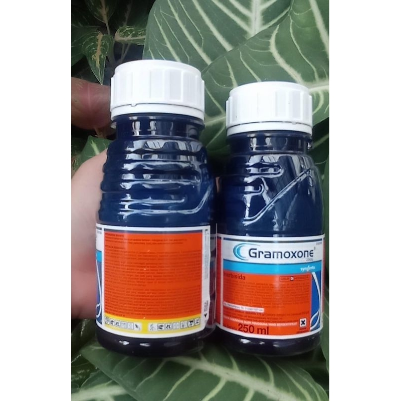 Jual Herbisida Kontak Gramoxone Sl Kemasan Ml Shopee Indonesia