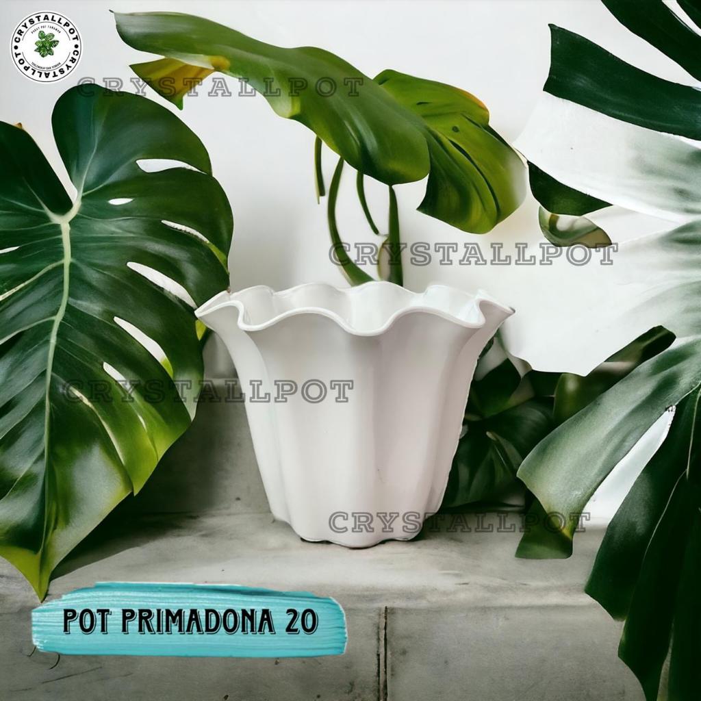 Jual Pot Bunga Tanaman Shallom Primadona 20 Bahan Tebal PRIMADONA 20