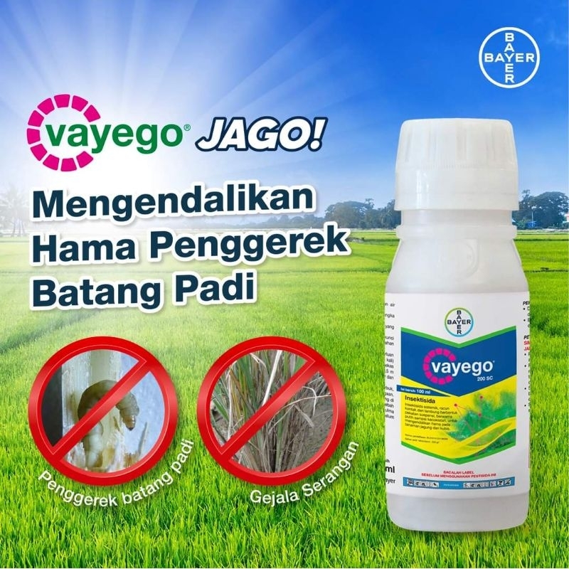 Jual Vayego Sc Kemasan Ml Racun Hama Sundep Pengerek Batang