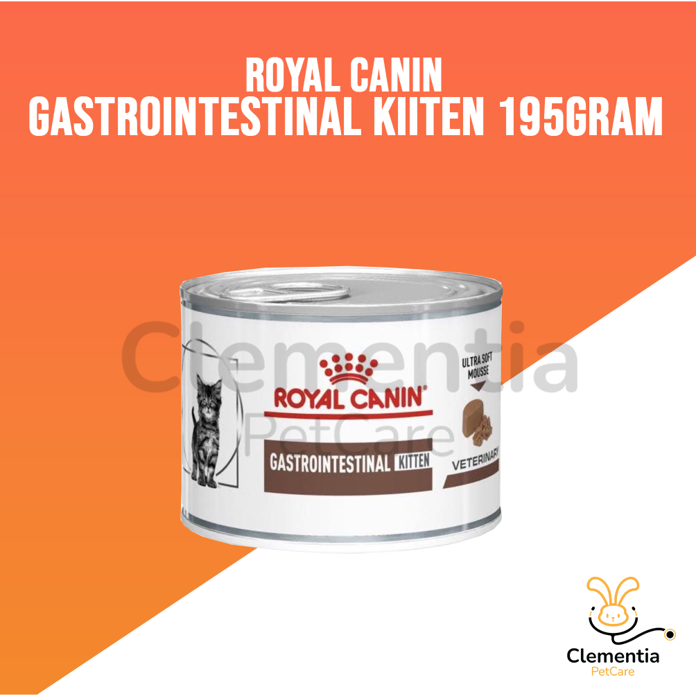 Jual Royal Canin Gastrointestinal Kitten Can G Rc Gastro Kaleng