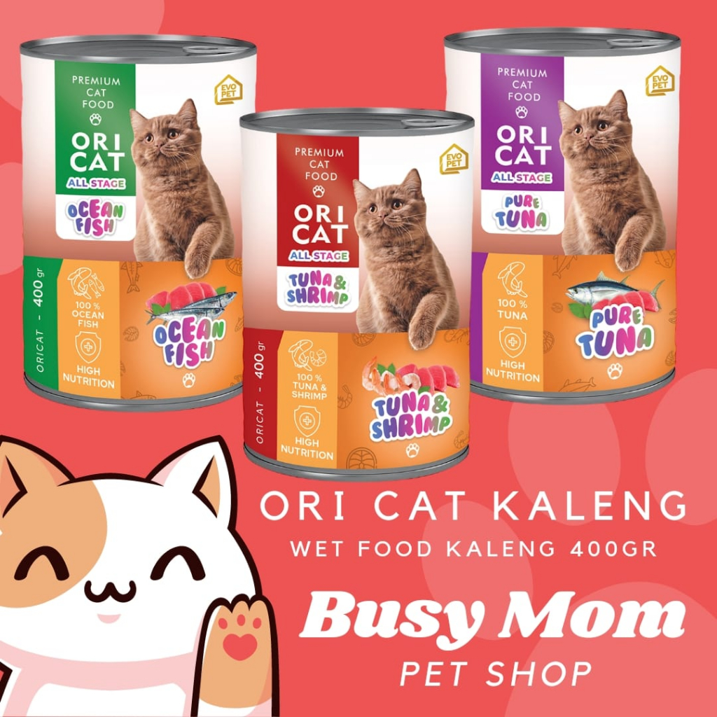 Jual Ori Cat Kaleng 400gr Makanan Kucing Basah Shopee Indonesia