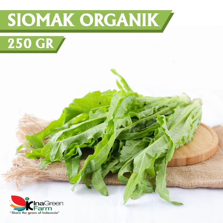 Jual Inagreen Farm Bandung Sayur Siomak Organik Gram Shopee Indonesia