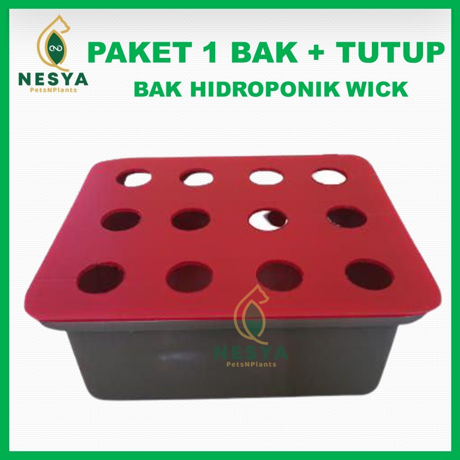 Jual Paket 1 Bak Dan Tutup Impraboard Hidroponik Sistem Wick Shopee