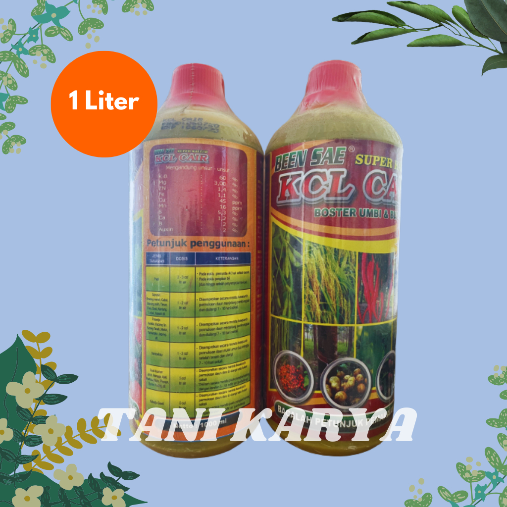 Jual KCL CAIR BEEN SAE SUPER KALIUM Shopee Indonesia