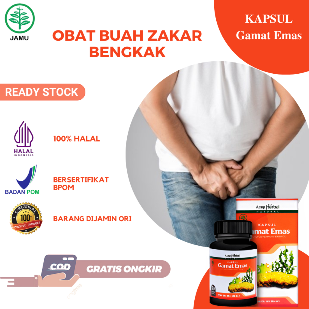 Jual Obat Buah Zakar Bengkak Hernia Turun Berok Varikokel Hidrokel