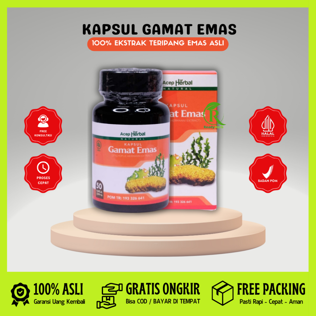 Jual Kapsul Gamat Emas Original Isi Kapsul Kapsul Ekstrak