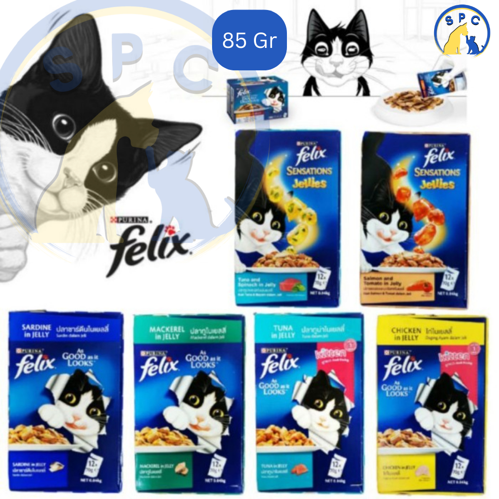 Jual Felix Purina Cat Makanan Kucing Basah Premium Wet Food Pouch Gr