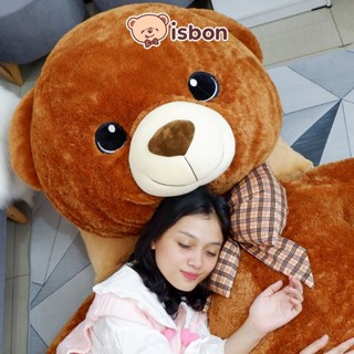 Jual Istana Boneka Beruang Cippi Bear Meter Jumbo New With Syall Sdf