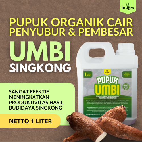 Jual Pupuk Singkong Booster Pupuk Singkong Cair Pupuk Singkong