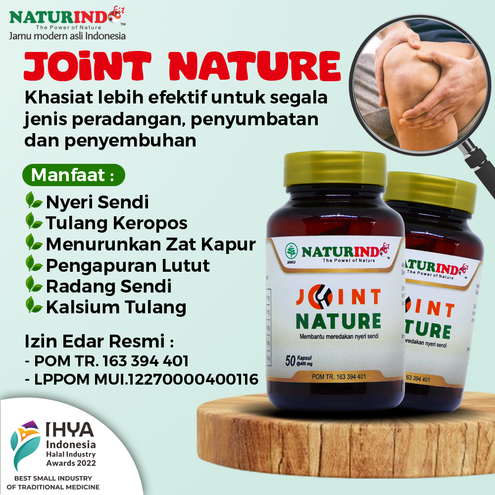 Jual Obat Sendi Lutut Naturindo Pengapuran Tulang Dan Syaraf Herbal