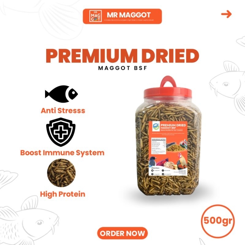 Jual MR MAGGOT Grade Premium Maggot Magot Kering BSF Untuk Pakan Ikan