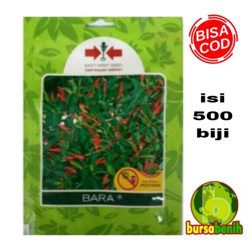 Jual Benih Cabe Rawit Bara Butir Panah Merah Bibit Cabe Rawit