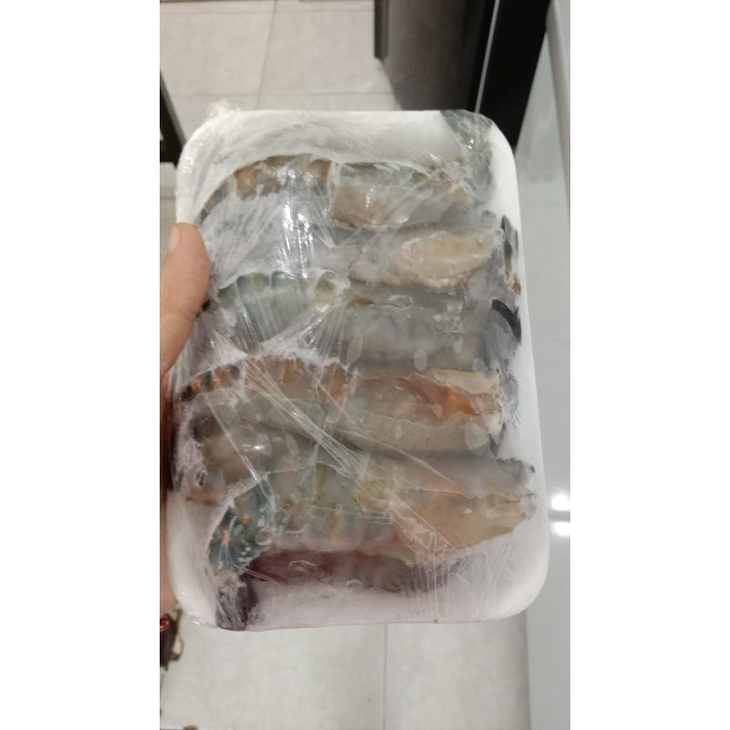 Jual Udang Satang Sedang Shopee Indonesia