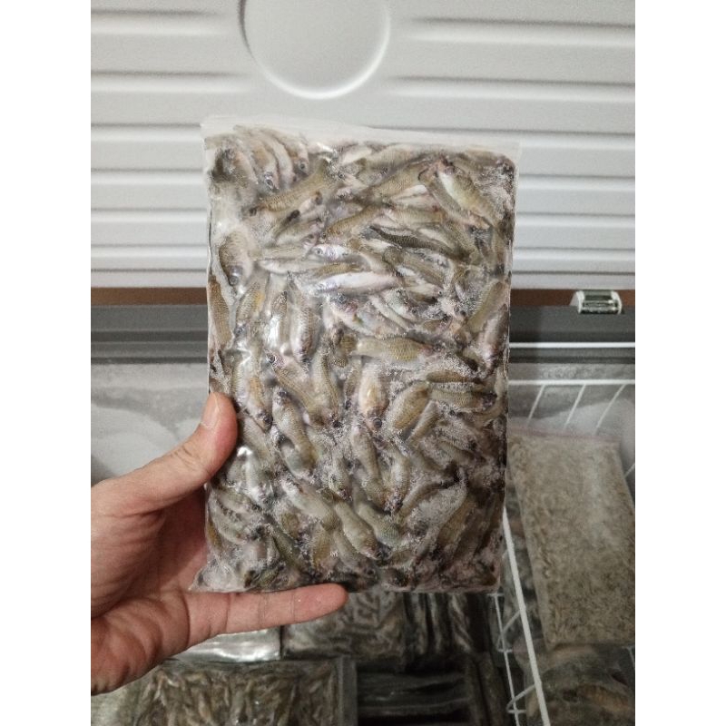 Jual Cere Laut Beku Fresh Pakan Ikan Predator 500gram Shopee Indonesia