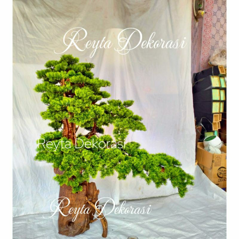 Jual Cemara Sinensis Artificial Bonsai Jepang Bonsai Aquascape