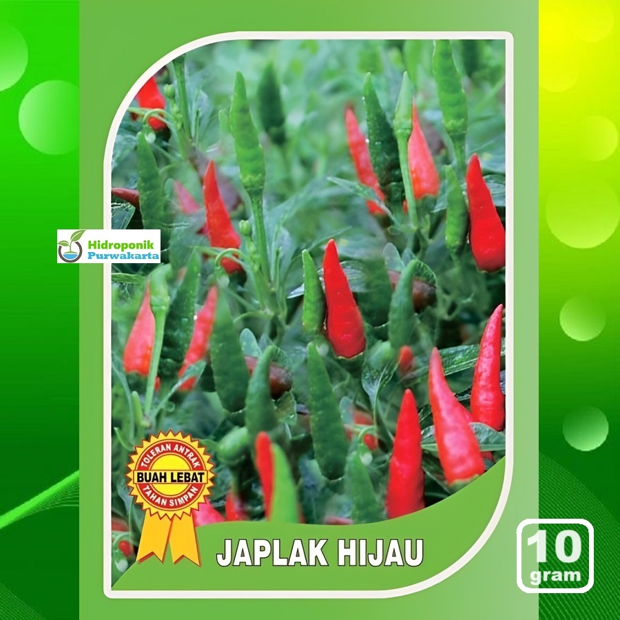 Jual Benih Cabe Rawit Cengek JAPLAK HIJAU Caplak Hijau Tegak 10 Gram