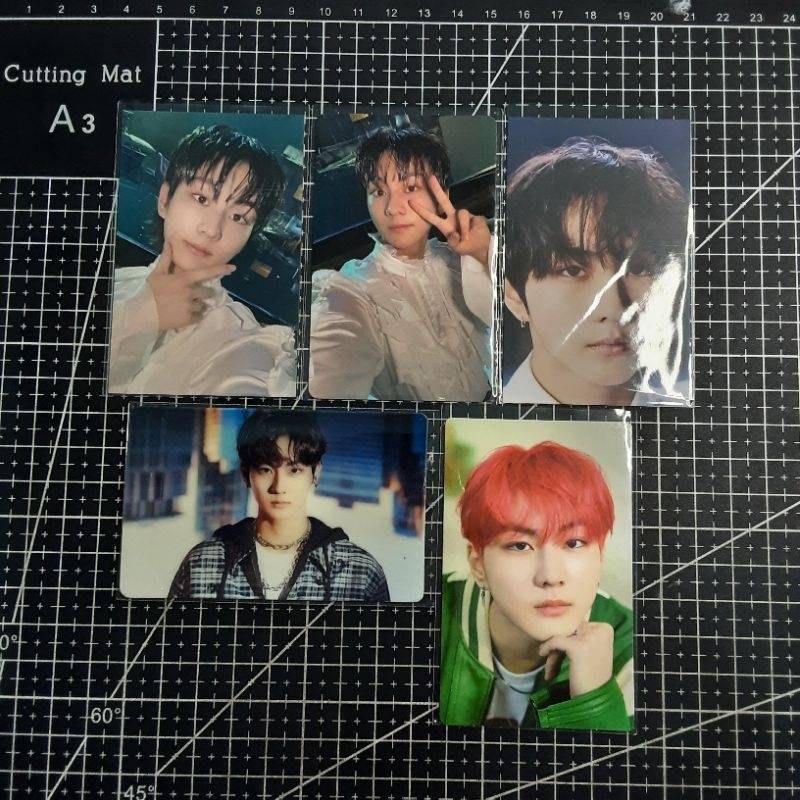 Jual Pc Photocard Enhypen Jungwon Ld Wvj Pob Naver Shopping Live Dark