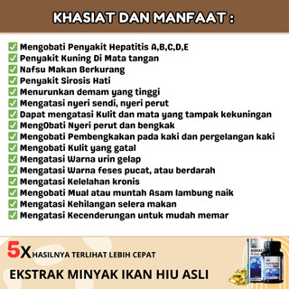 Jual Obat Herbal Hepatitis Hepatitis A B C D E Infeksi Liver Kanker