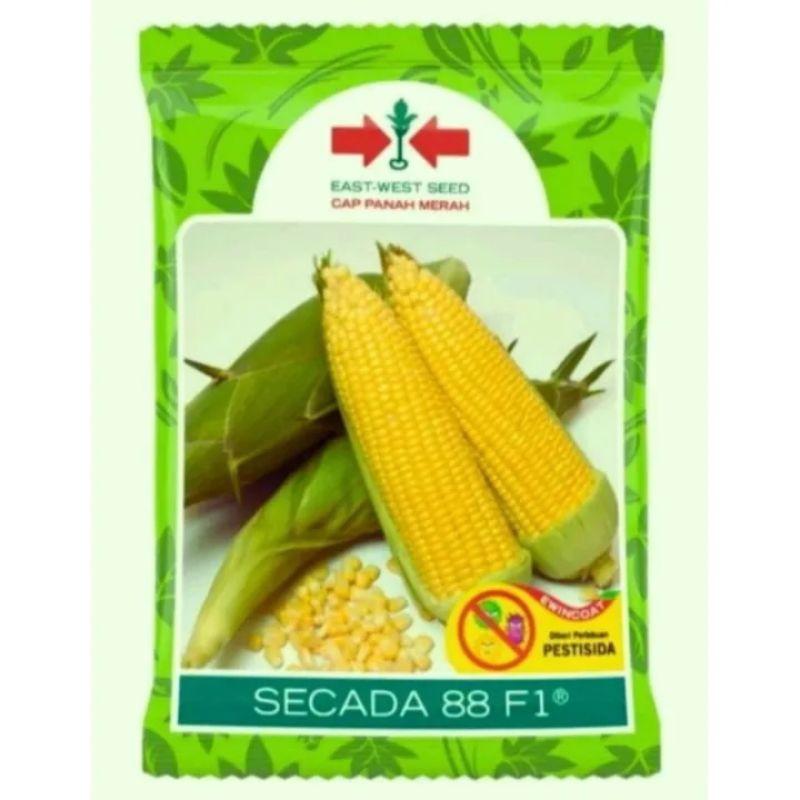 Jual Benih Jagung Manis Scada F Isi Butir Benih Original Cap