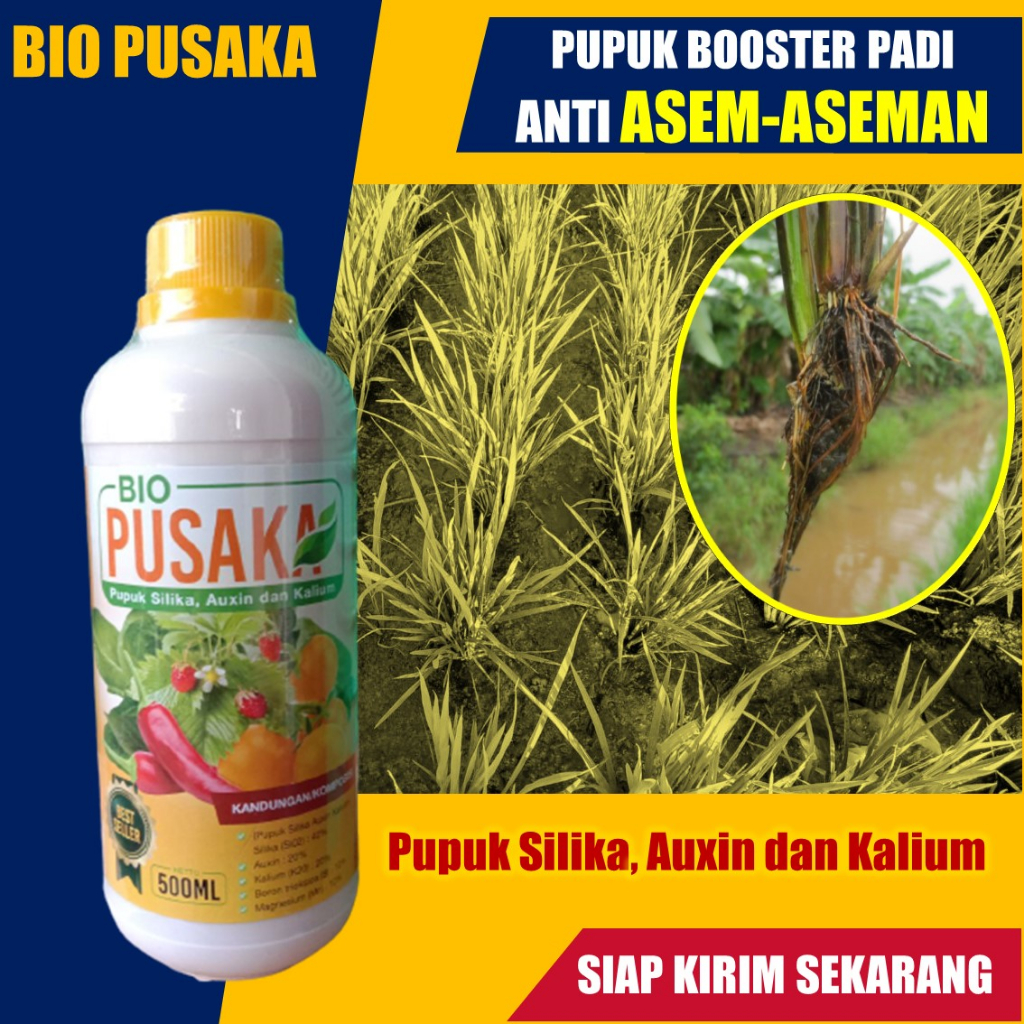 Jual Pupuk Booster Tanaman Padi Anti Asam Asaman Bio Pusaka Isi Ml