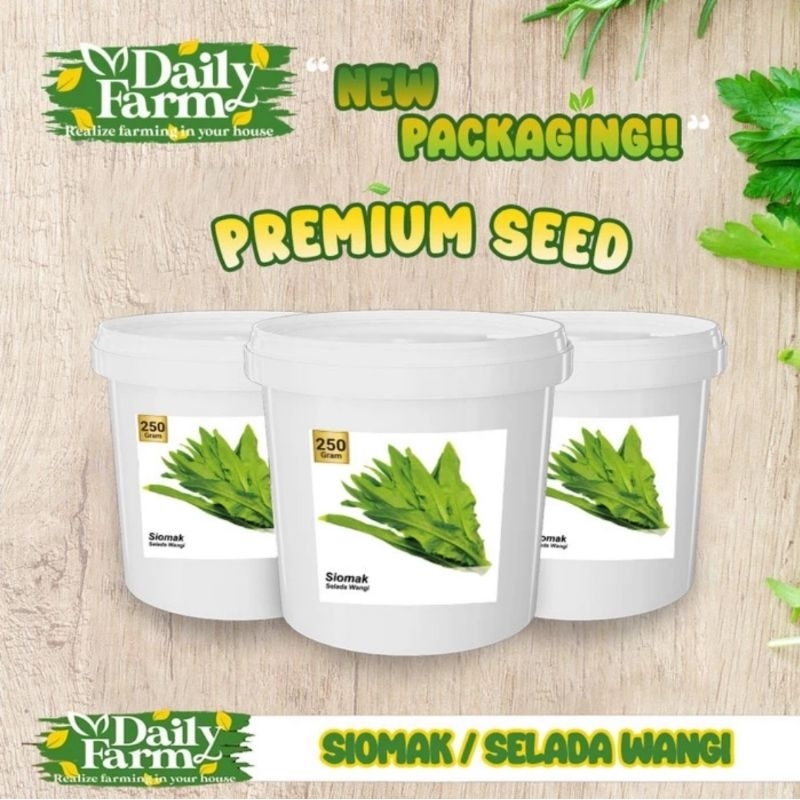 Jual Benih Siomak Hijau Selada Wangi 250 Gram Shopee Indonesia