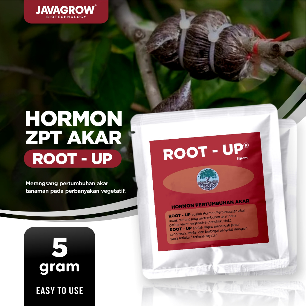 Jual ROOT UP Hormon Pertumbuhan Akar Stek Cangkok 5 Gram Shopee Indonesia