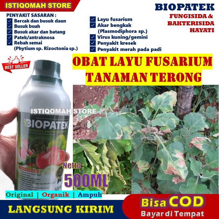 Jual Obat Layu Fusarium Pada Terong Ml Biopatek Fungisida Dan