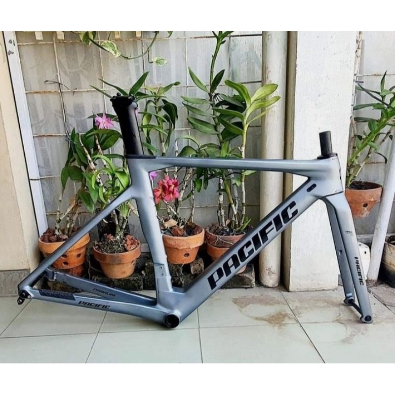 Jual Frame Set Roadbike Pacific Primum Carbon Size Mulus