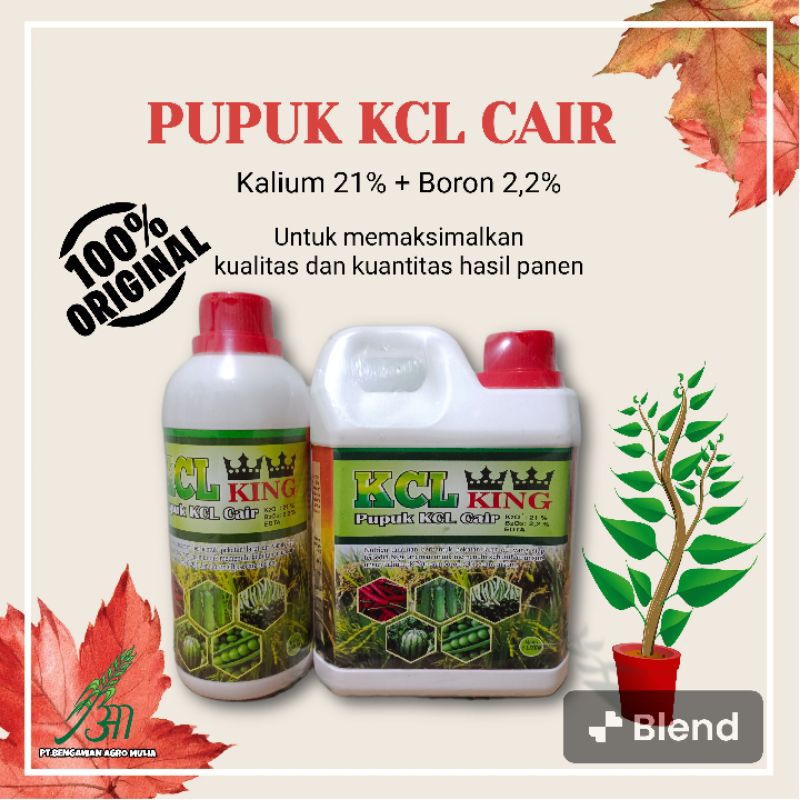 Jual Pupuk Kcl Cair Liter Premium Pembesar Buah Umbi Bulir Padi