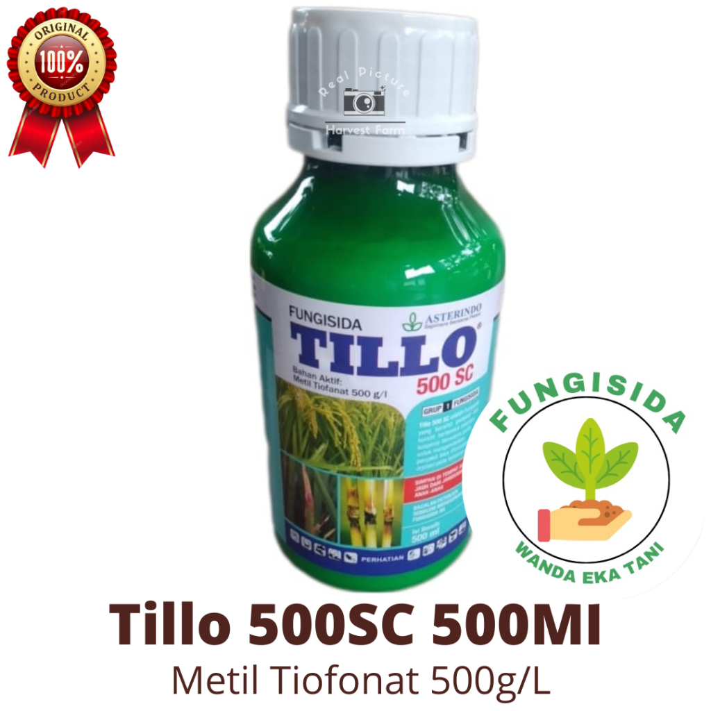 Jual Fungisida Tillo 500SC Isi 500Ml Metil Tiofonat Fungisida Protektif