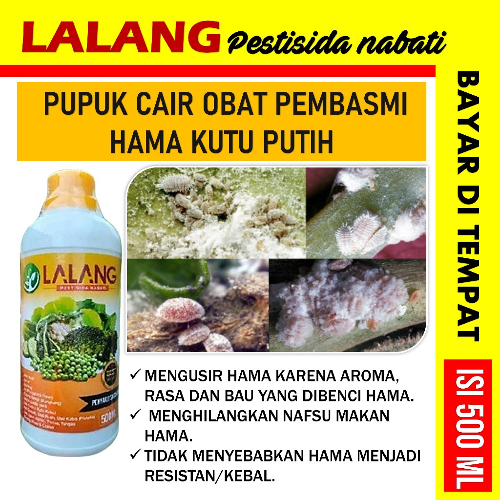 Jual Obat Pembasmi Hama Kutu Putih Pada Semua Jenistanaman Lalang