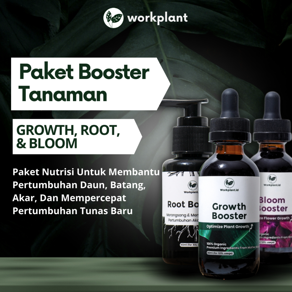 Jual Workplant Paket Booster Tanaman Pupuk Untuk Pertumbuhan Daun