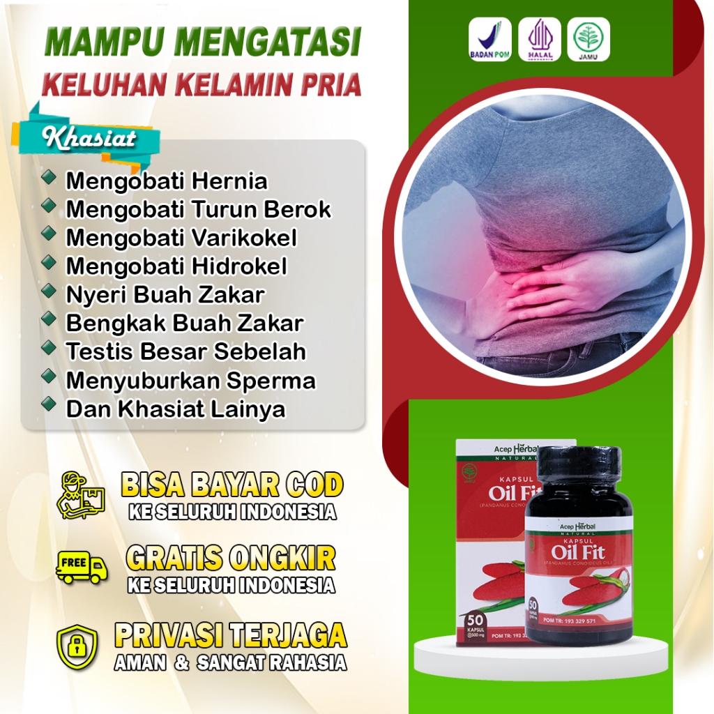 Jual Kapsul Oil Fit Obat Hernia Pria Dewasa Bengkak Buah Zakar Nyeri