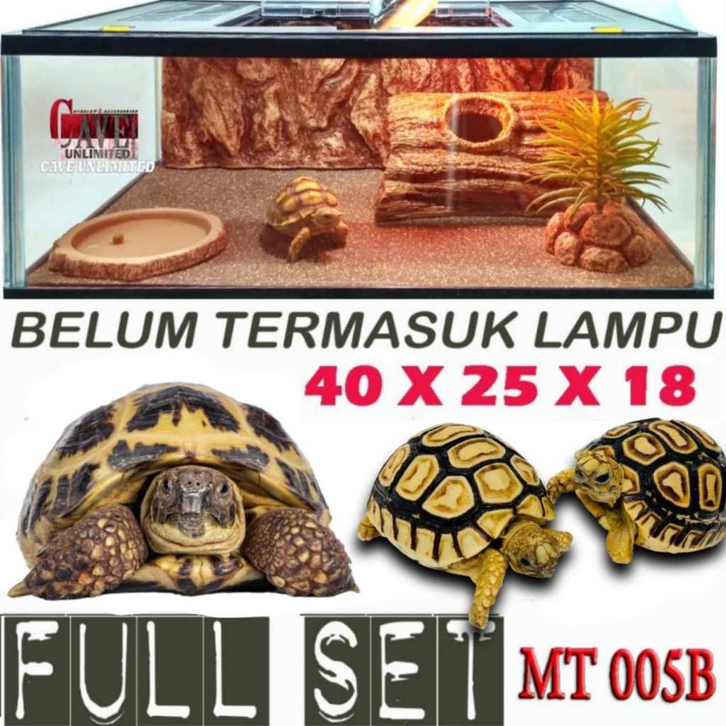 Jual MT005B FULL SET PAKET AKSESORIS KANDANG KURA KURA DARAT SULCATA