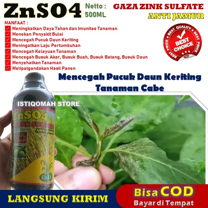 Jual 100 AMPUH Pupuk Obat Semprot Anti Pucuk Daun Cabe Keriting Dan