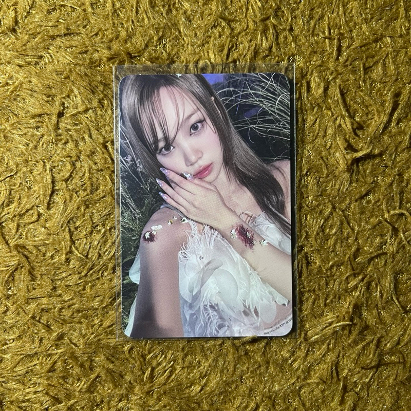 Jual Official Photocard PC Chaewon LE SSERAFIM Featherly Lotus Easy