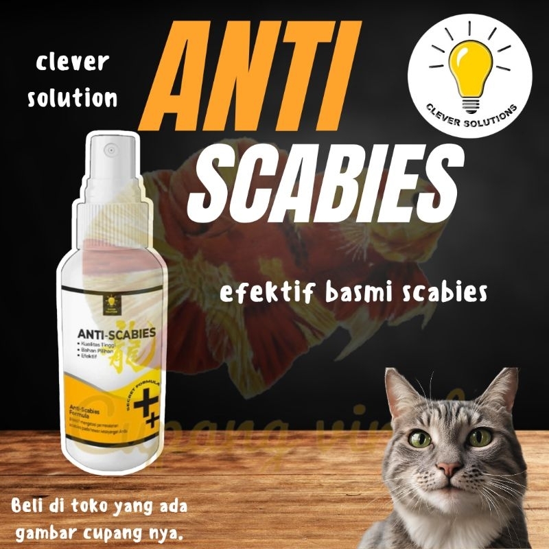 Jual ANTI SCABIES Obat Jamur Kucing Scabies 60 ML CLEVER SOLUTION