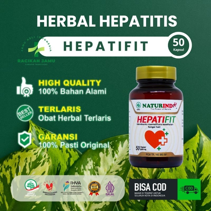 Jual Hepatitis A B Herbal Hepatifit Isi 50 Kapsul Original Naturindo