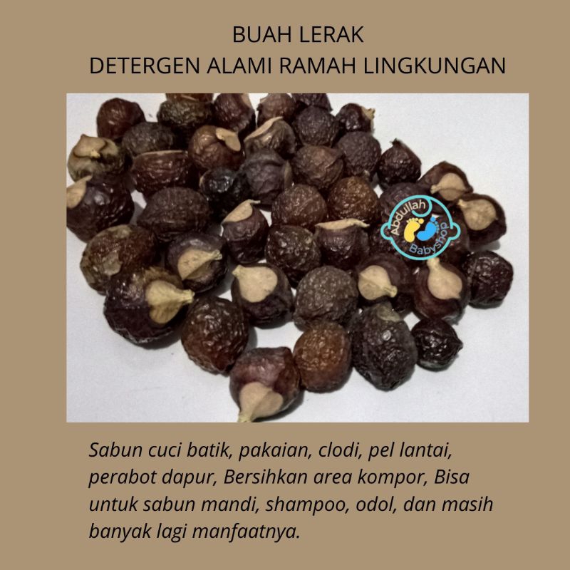 Jual Lerak Soapnuts Soapberries Utuh Sabun Alami Ramah Lingkungan Cuci