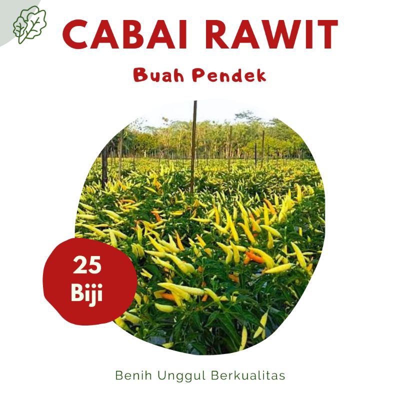 Jual 25 Biji Benih Cabai Rawit Setan Dewata 43 F1 Repack Panah Merah