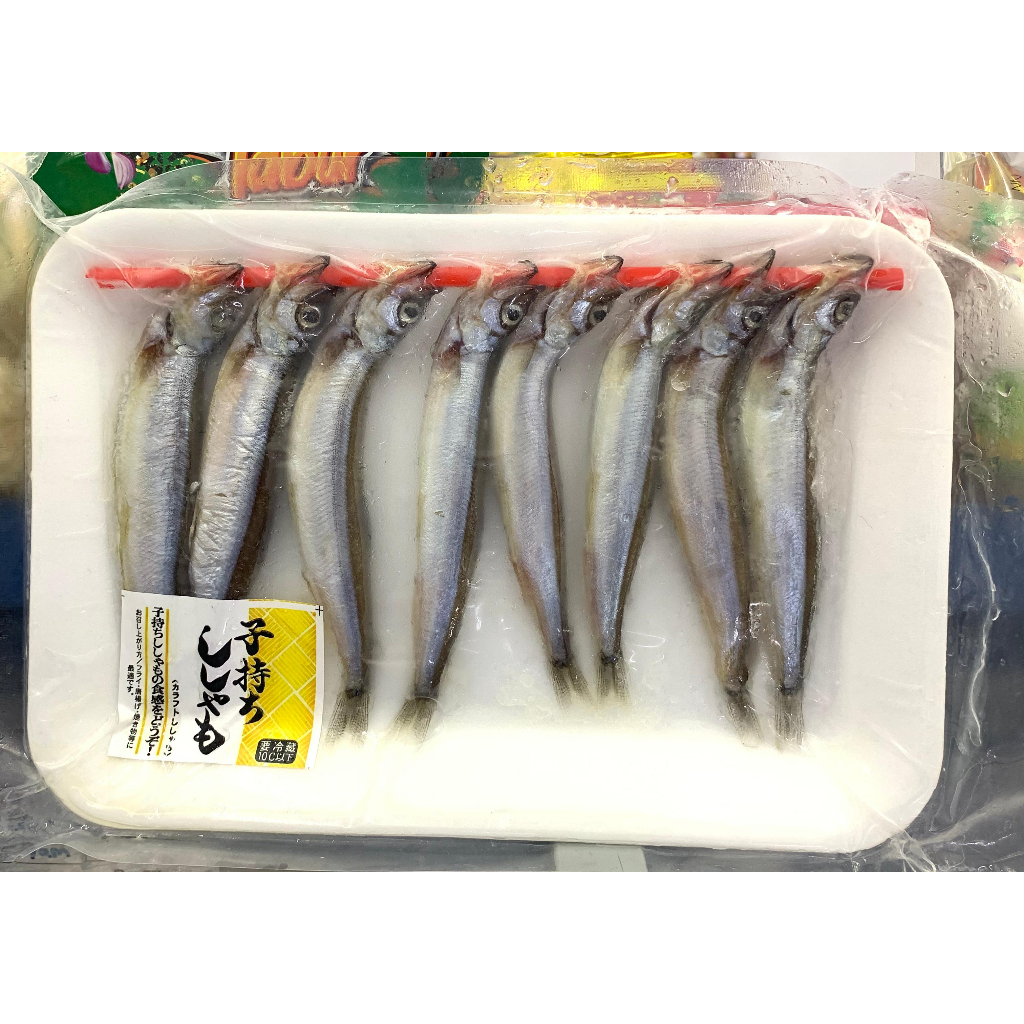 Jual Ikan Shisamo Ikan Cipung Shopee Indonesia